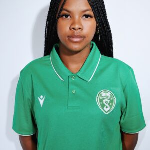 Draco Hero Golf Tshirt